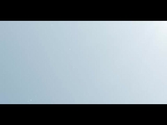 introduzione del marchio