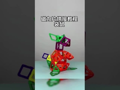 Bambini 3D creativi giocattolo canguro blocchi magnetici animali dai colori vivaci