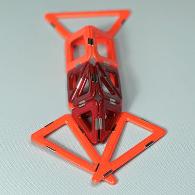 Assemblaggio di piastrelle magnetiche con forme versatili per animali e piante aragoste